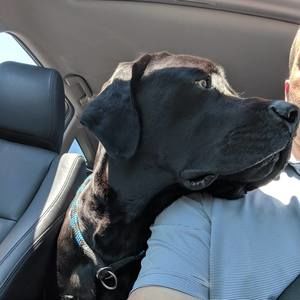 Meet your Posher, Brian